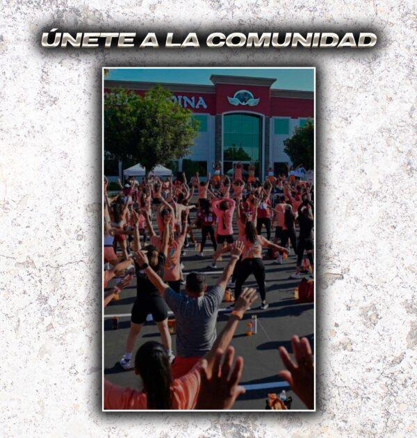 Reto Ripped Max Fit Challenge - Imagen 6